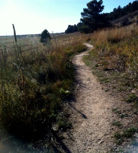Maxwell Trail, Fort Collins Colorado